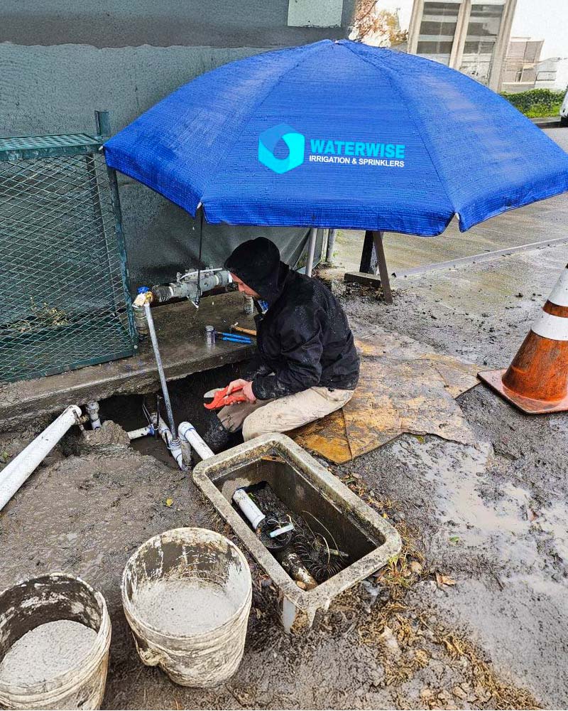 placeholder image-sq